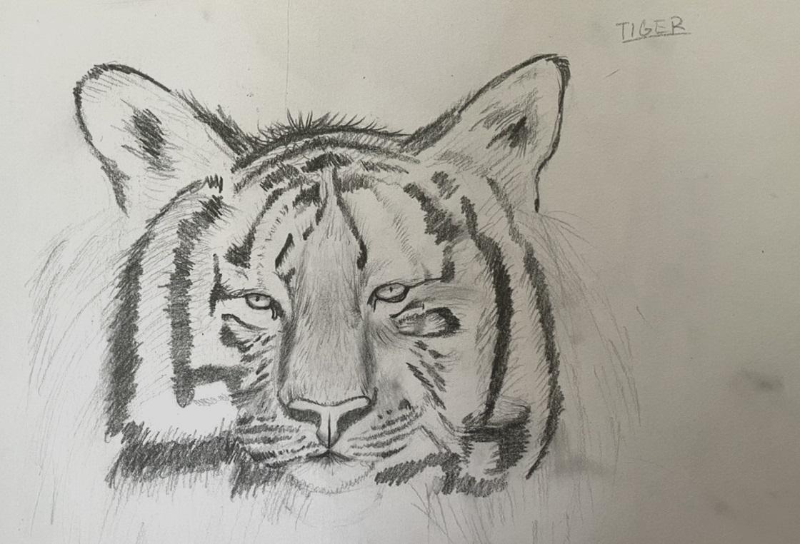 /uploaded_files/media/gallery/1633770090Cathy 4P Tiger.jpeg